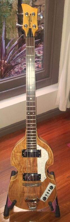 Pitbull DIY Hofner Style Build.JPG