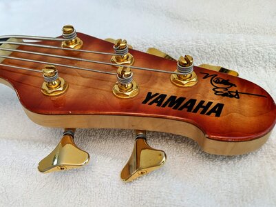 5_BBNE_Headstock1.jpg