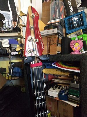 Headshot of Red Bass.jpg
