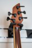 DSC05878.jpg