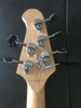 DJ5 headstock.jpg