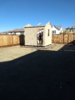 IMG_20201125_133649142.jpg