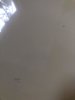 6F85D168-0F6A-4614-809D-BCC32172CB95.jpeg