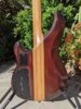 Ibby 83b small.jpg