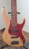 TBC JAZZ 5 String - The Bass Company JT-500JJ