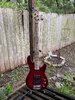 G&L L-2500 Tribute