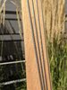 Fretboard Close Up.jpg