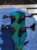 IMG_2329.jpeg