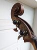 Upright Head 1.jpg