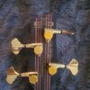 back of headstock.jpg