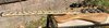 IMG_2595.jpeg