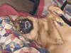 IMG_2381.jpeg