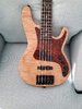 Carvin keisel PB5