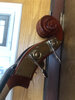 IMG_2030.jpeg