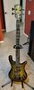 Spector bass NS-2 Haunted Gloss