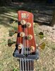 headstock.jpg