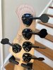 IMG_4064.jpeg.jpg