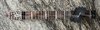 Rosewood Alto 2006 Stick (5).jpg