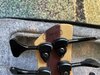 IMG_6620.jpeg