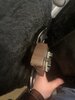 IMG_2102.jpeg