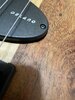 IMG_4979.jpeg IMG_4979.jpeg