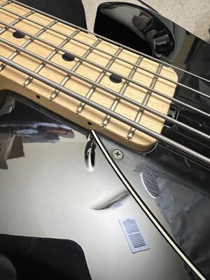 IMG_3917.jpeg