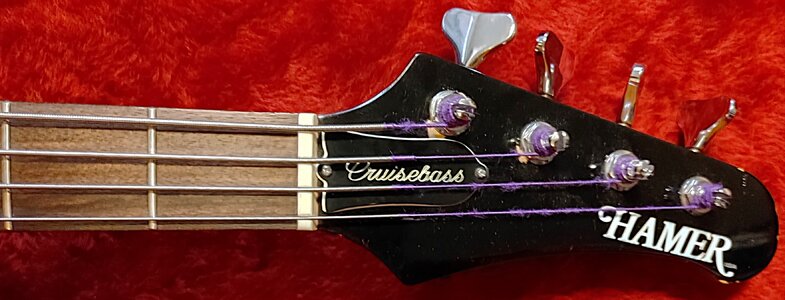 Hamer Cruise Bass 1982 2.jpg