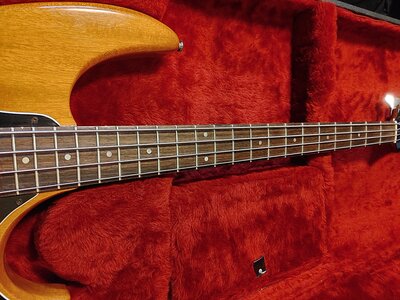 Hamer Cruise Bass 1982 3.jpg