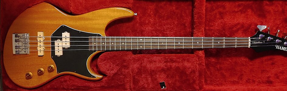 Hamer Cruise Bass 1982 4.jpg