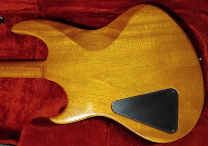 Hamer Cruise Bass 1982 5.jpg