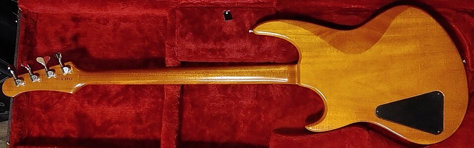 Hamer Cruise Bass 1982 9.jpg