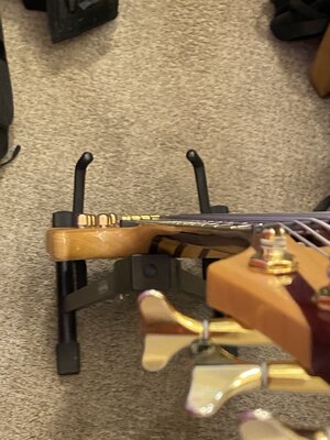 IMG_6539.jpeg