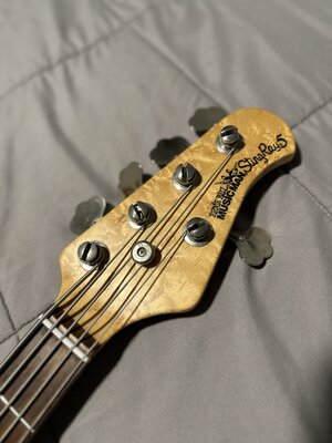 IMG_4941.jpeg