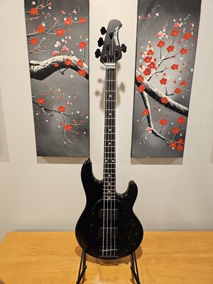 2015 Ernie Ball Music Man Stingray Stealth