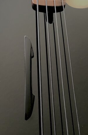 IMG_7763.jpeg