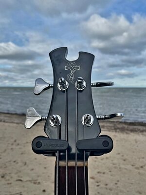 Tobias headstock (front).jpg Tobias headstock (front).jpg