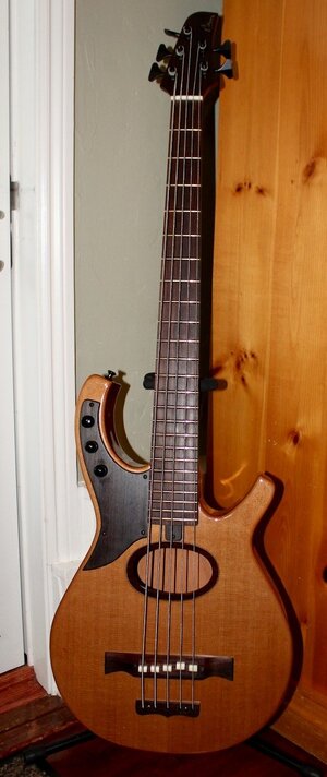 Citron Steve Swallow AE5 Large Body 5-string bass (2021)