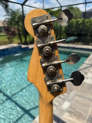 Headstock Back.jpeg