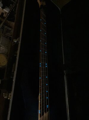 IMG_2415.jpeg