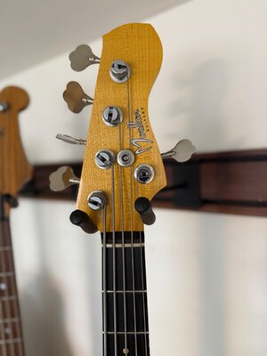 IMG_6946.jpeg