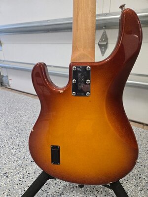Back Body.jpg