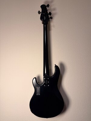 IMG_6196.jpeg