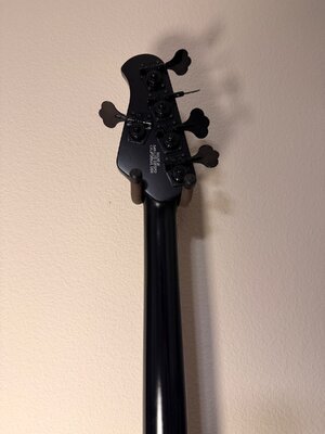 IMG_6199.jpeg