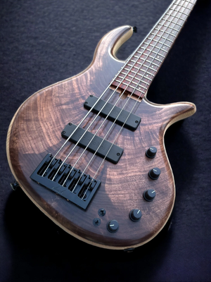 Elrick EVO Gold 5 String