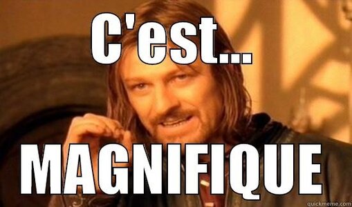 C'est magnifique.jpeg