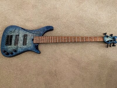 Brubaker Lexa 5 (w/o Pickups)