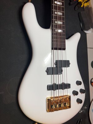Spector Euro Classic 4 For Sale (2019)