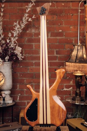 quasarfretless 15.jpg