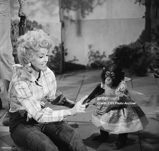 gettyimages-84071519-1024x1024.webp