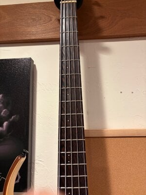 IMG_0050.jpeg